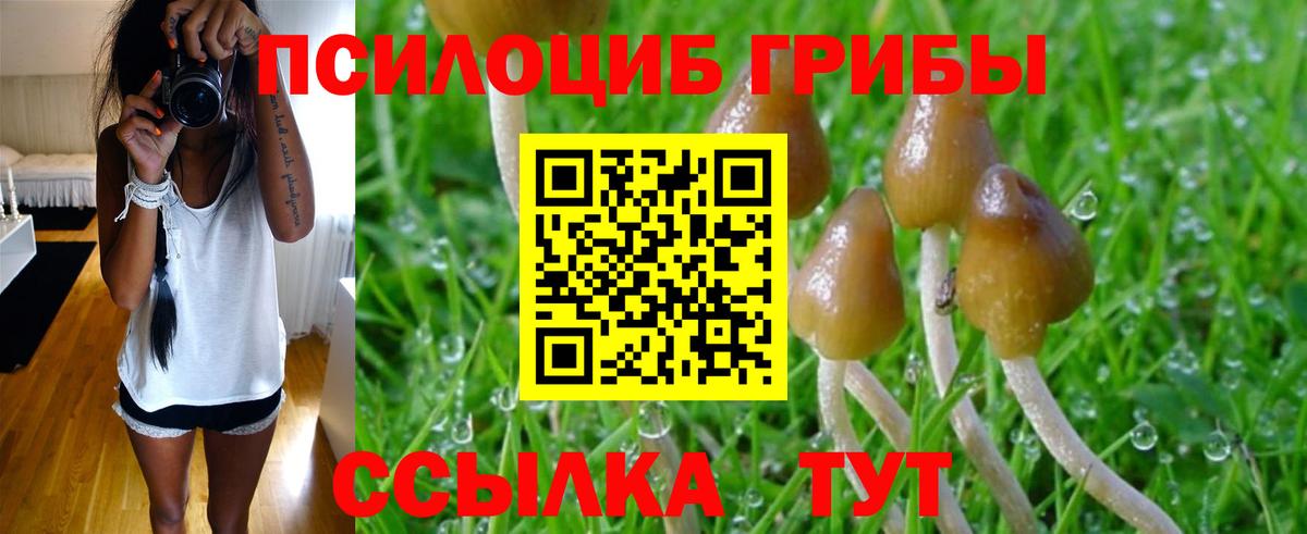 цены наркотик  Псилоцибиновые грибы ЛСД  Псилоцибиновые грибы Psilocybine cubensis  Вход с VPN  Серпухов 
